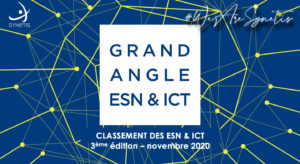 Lire la suite à propos de l’article Classement 2020 ESN Grand Angle.