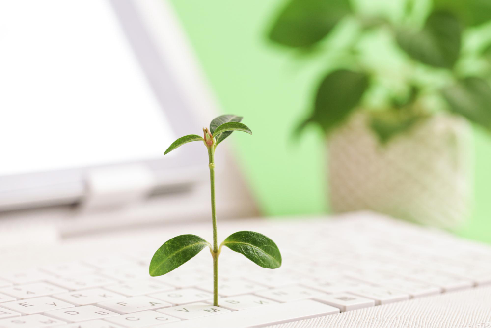 technologie-information-verte-il-ecologiquement-durable-plante-verte-poussant-clavier-blanc